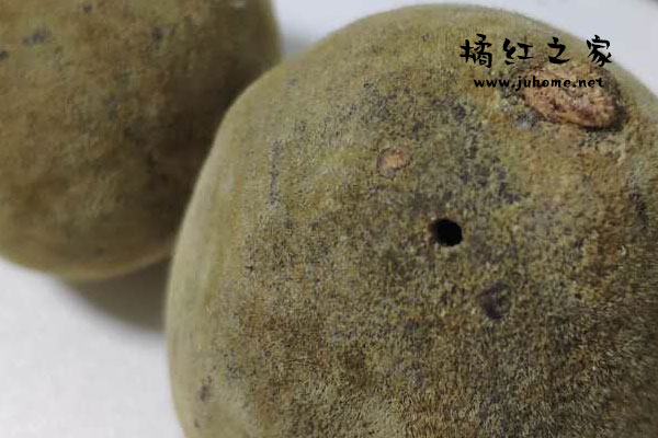 橘红果