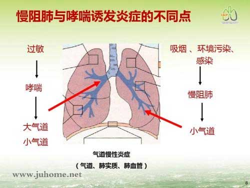 化州橘红都是哪些人在使用？