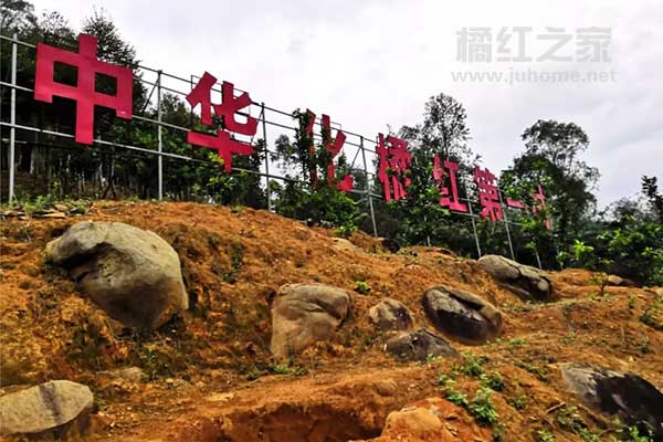中华化橘红第一村