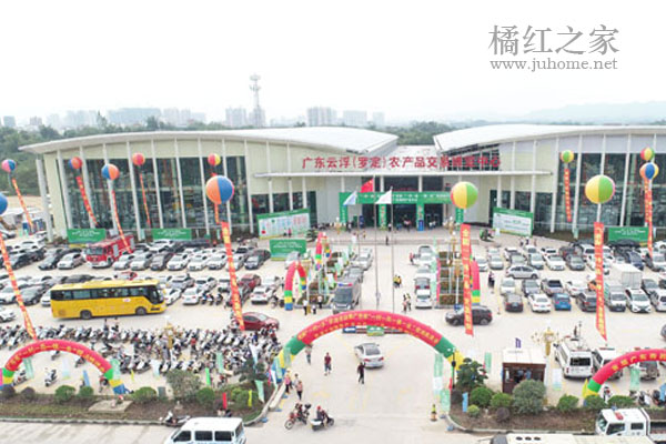 罗定：南药大会