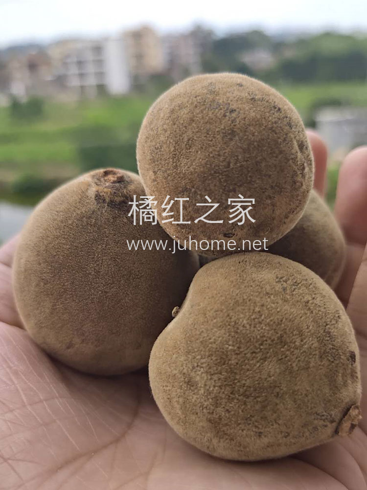 极品橘红