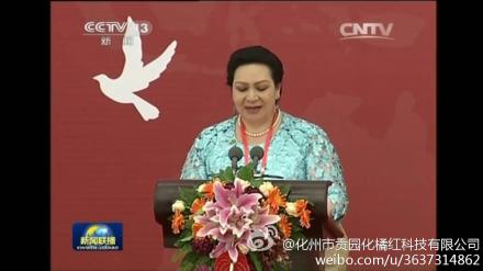 汤加公主发言