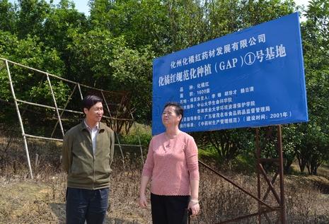 橘红基地