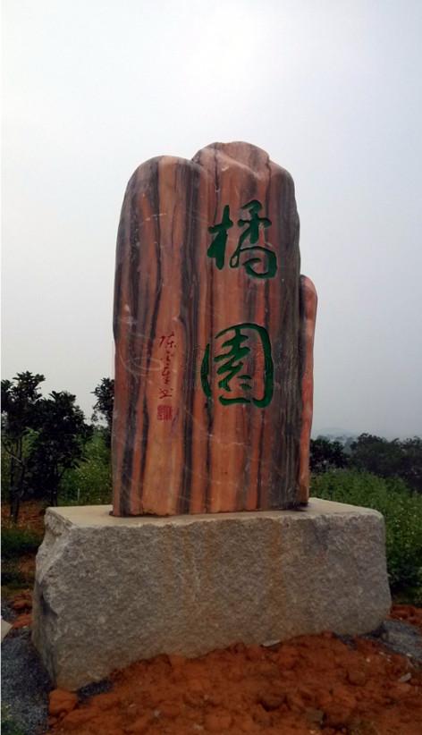 化州橘红种植基地