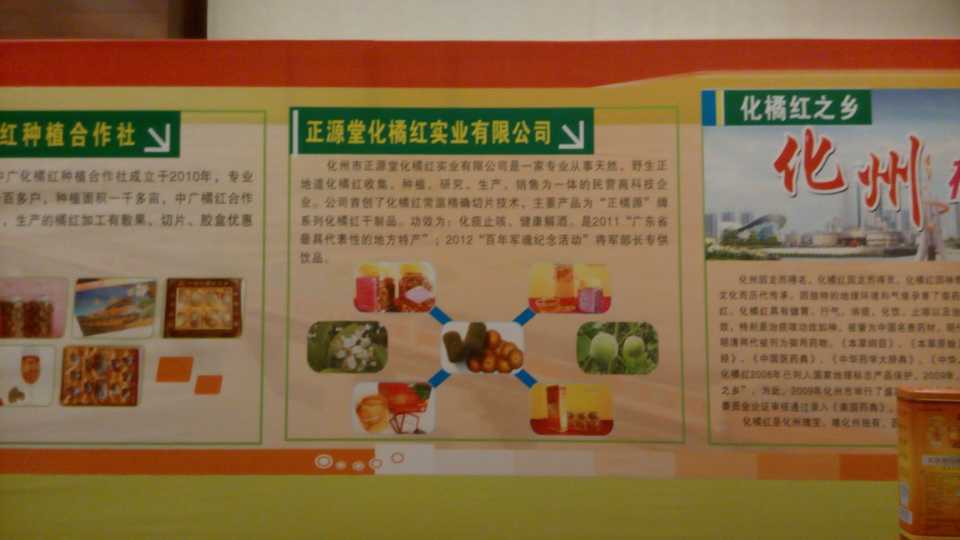 化州市正源堂化橘红实业有限公司