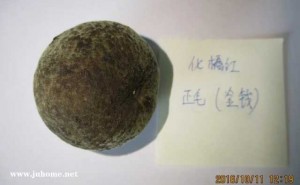 化州橘红的品种，金钱、凤尾、假西洋