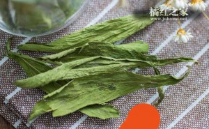 化橘红和甜叶菊