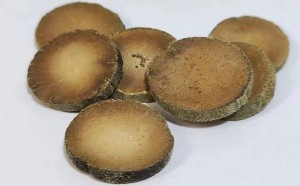化橘红中药专利技术主题及治疗适应证现状 学术