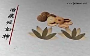 昨晚CCTV10开播本草中国，化橘红在第几集？