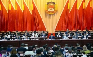 12届化州政协会议要求加快化橘红产业发展