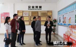 中国中药协会道地药材调研组到访化州中药厂