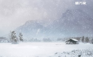 寒潮南下多地迎初雪 秋冬季节适宜喝化橘红茶