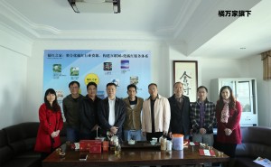 发展历程