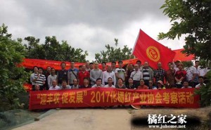 化橘红产业协会考察大合生物科技基地