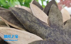 《南药化橘红基原考证》：均显著优于柚来源的药材