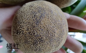 橘红一定要陈年的吗？陈年橘红功效