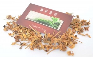 化州橘红花图片，高清大图