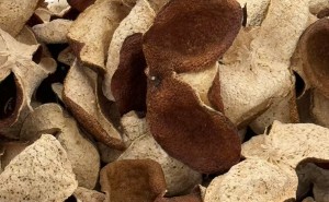 为什么说到化橘红总是用陈皮做对比？