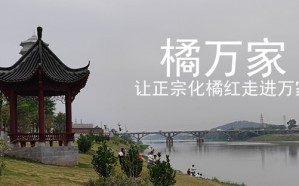 奥密克戎能喝化橘红吗 化橘红泡水可以预防新冠吗