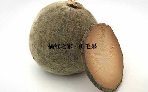 一个化橘红有多重？一斤有多少个橘红果