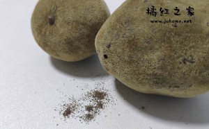陈年化橘红可以晒太阳吗