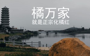 什么是盐化橘红，有什么作用