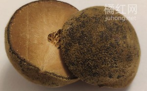 陈年的化橘红会变黑吗？化橘红陈年的更好吗？