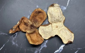 新会陈皮和化州橘红的不同区别