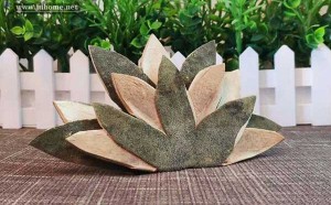 七个爪子的七爪橘红是怎样来的？