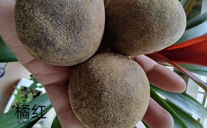 橘红怎么做出来 橘红制作过程 新鲜橘红如何制作方法