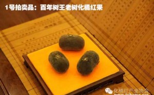 慈善拍卖会：价值连城的橘红果！