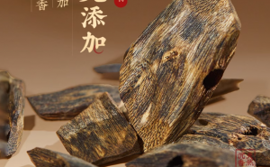 沉香的产地是哪里？