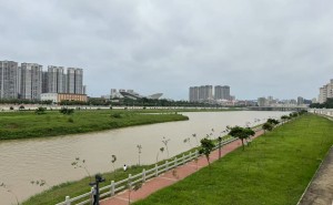 化橘红最好的产地是哪里