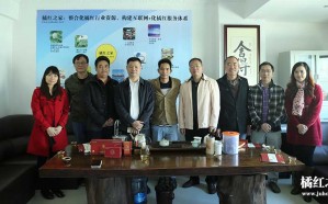 橘红之家公司2017年度更新总结