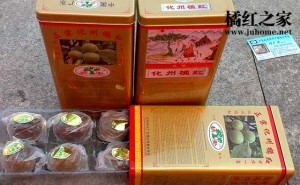化州市中广化橘红种植合作社