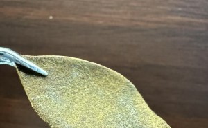 都是橘红，为什么有些叫化橘红，有些叫广西橘红、陆川橘红、吴川橘红