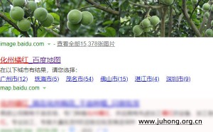 哪里有正宗化州橘红买？