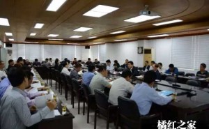 2017化州橘红文化节组委会工作会议召开