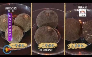 CCTV10健康之路：道地橘红用起来