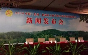 2016中国（化州）化橘红文化节新闻发布会召开
