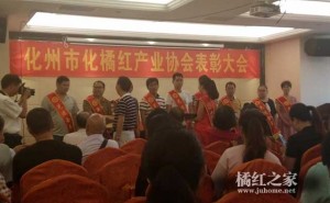 化橘红协会今天召开表彰大会