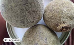 橘红果有什么功效与作用 橘红果的作用和禁忌