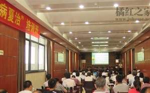 慢阻肺？抓紧时机冬病夏治
