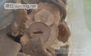 橘园 化州橘红乳果片 黄绒正毛，产品参数，化州橘红图片