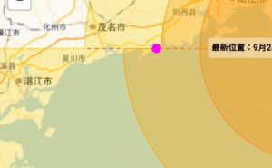 台风桦加沙来袭，注意化橘红树的防护