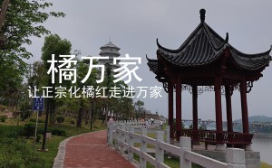 橘万家2021年6月份月报