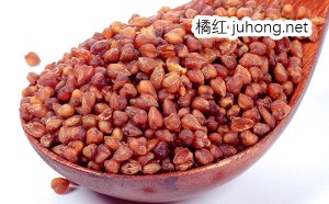 黑苦荞茶泡橘红可以吗？什么是黑苦荞茶？