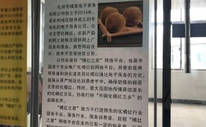 关于我们(橘红之家)