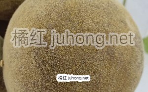 化橘红图片功效作用，什么是化橘红？