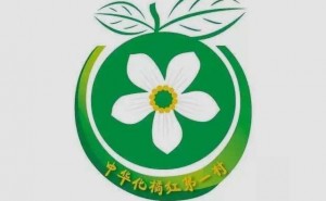 化州橘红赏花节节目流程